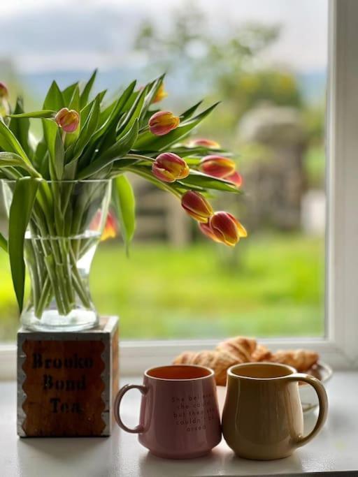 Cosy Country House In Deeside Finzean Room photo